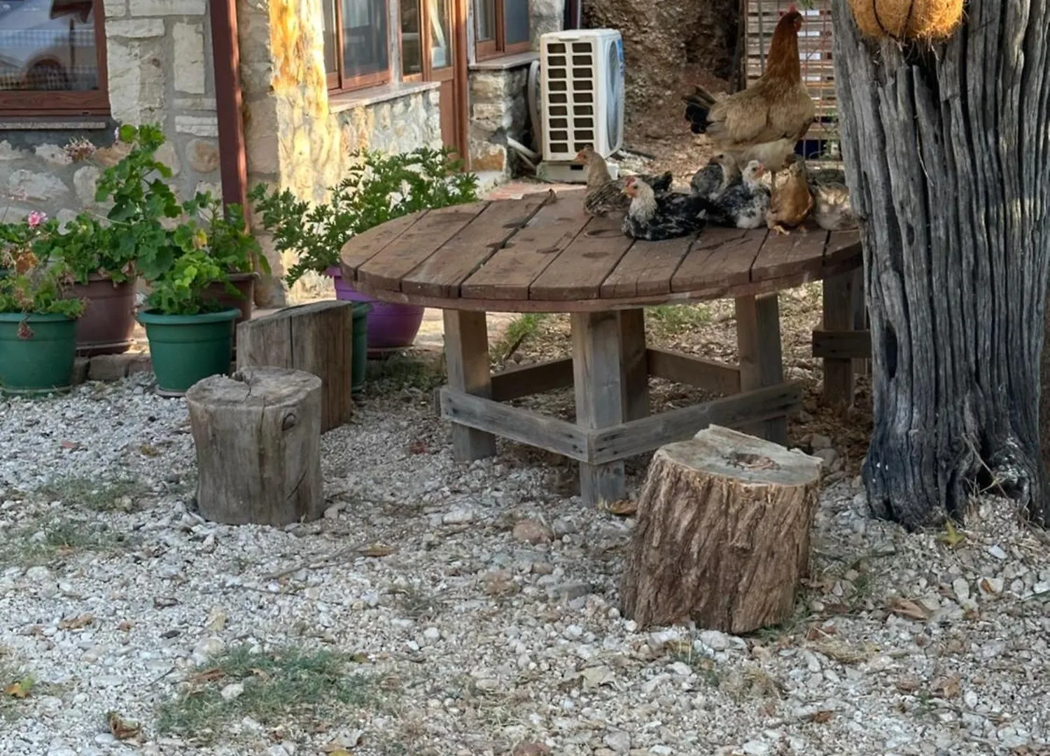 Hotel Kantina & Ferma Dukat Orikum Albanien